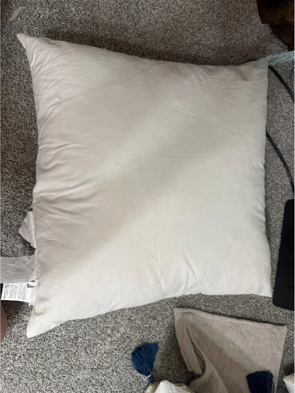 22x22 Pottery Barn White Cotton Pillow Insert with Waterfowl Feather Filling